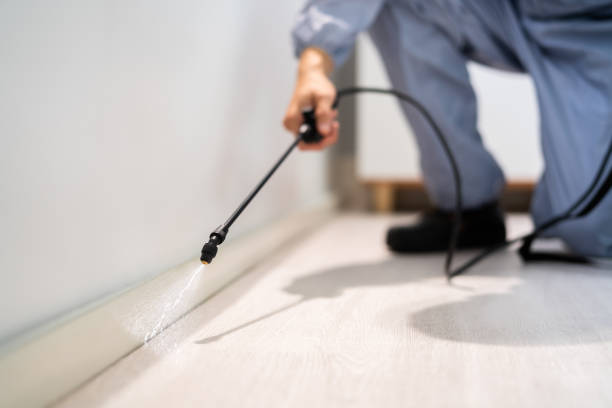 Licensed Fumigation Services service in Brigham City, UT - Nex Pest Control