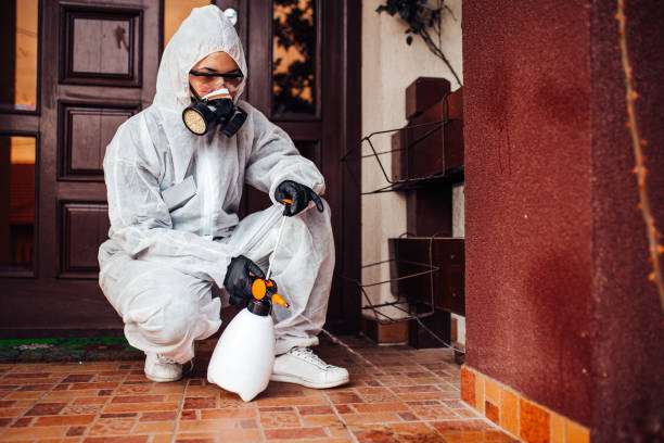 Reliable Fumigation Services contractor in Brigham City, UT by Nex Pest Control