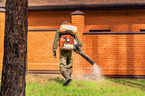 Trusted Cockroach Control service in Brigham City, UT - Nex Pest Control